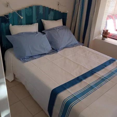 L'ecureuil De L'esterel Saint-Raphaël