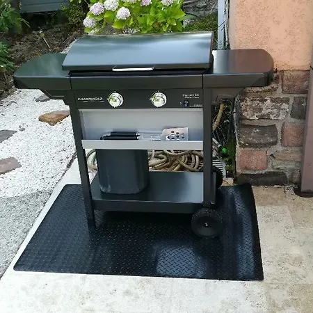 L'ecureuil De L'esterel 4*