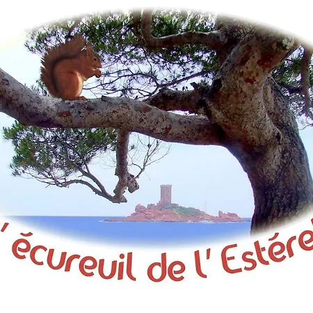 L'ecureuil De L'esterel 4*